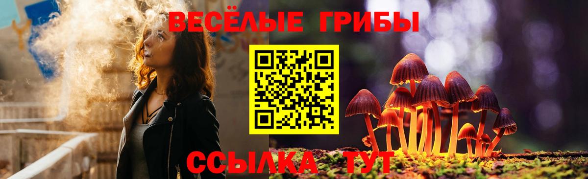 Галлюциногенные грибы Psilocybine cubensis Ярцево